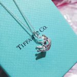 2020-hot-selling-tiffany-crown-charm-silver-necklace-female-18k-white-gold-for-sale-hk-41cm6512bd43d9caa6e02c990b0a82652dca-595×595