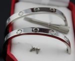 cartier-couple-bracelet-white-gold-b6041000-new-version-prevent-screws-fall-out6ea9ab1baa0efb9e19094440c317e21b