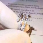 cartier-juste-un-clou-white-gold-full-diamond-double-nail-ring182be0c5cdcd5072bb1864cdee4d3d6e