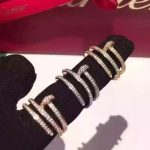 cartier-juste-un-clou-white-gold-full-diamond-double-nail-ring182be0c5cdcd5072bb1864cdee4d3d6e