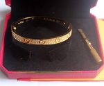 cartier-love-bracelet-diamond-paved-yellow-gold-diamonds-n603501745c48cce2e2d7fbdea1afc51c7c6ad26