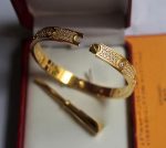 cartier-love-bracelet-diamond-paved-yellow-gold-diamonds-n603501745c48cce2e2d7fbdea1afc51c7c6ad26