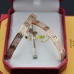 copy-cartier-love-bracelet-paved-diamonds-pink-gold-n60369161f0e3dad99908345f7439f8ffabdffc4