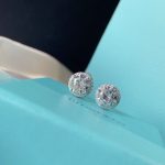 copy-tiffany-soleste-center-diamond-surround-crystal-silver-earrings-for-ladies-simple-style-jewellery-grp114656364d3f0f495b6ab9dcf8d3b5c6e0b01-595×595