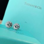 copy-tiffany-soleste-center-diamond-surround-crystal-silver-earrings-for-ladies-simple-style-jewellery-grp114656364d3f0f495b6ab9dcf8d3b5c6e0b01-595×595