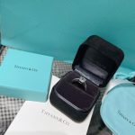 fake-tiffany-novo-womens-princess-cut-engagement-ring-pave-diamond-platinum-band-grp10882d3d9446802a44259755d38e6d163e820-595×595