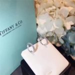 hot-sale-tiffany-metro-crystals-hoop-earrings-luxury-fine-jewelry-best-review-america-grp02414f457c545a9ded88f18ecee47145a72c0-595×595 (1)