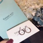 hot-sale-tiffany-metro-crystals-hoop-earrings-luxury-fine-jewelry-best-review-america-grp02414f457c545a9ded88f18ecee47145a72c0-595×595 (1)