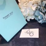 hot-sale-tiffany-metro-crystals-hoop-earrings-luxury-fine-jewelry-best-review-america-grp02414f457c545a9ded88f18ecee47145a72c0-595×595 (1)