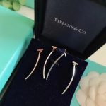 modern-design-tiffany-t-925-silver-wire-bar-pendant-ladies-t-motif-earrings-rose-gold-silver-62271906-replica6f4922f45568161a8cdf4ad2299f6d23-595×594