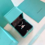 most-new-tiffany-love-setting-fully-diamonds-silver-band-women-four-paws-two-in-one-engagement-ring-ukc74d97b01eae257e44aa9d5bade97baf-595×481