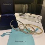 most-popular-tiffany-female-tiffany-t1-unilateral-diamonds-hinged-narrow-bangle-white-gold-yellow-gold-rose-gold4e732ced3463d06de0ca9a15b6153677-595×595