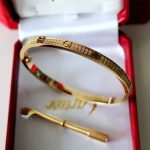 new-cartier-love-bracelet-sm-yellow-gold-with-diamonds-n67106171c383cd30b7c298ab50293adfecb7b18-595×595