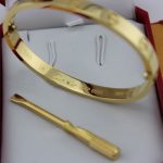 replica-cartier-yellow-gold-love-bracelet-for-men-and-women-b6035516-new-version-prevent-screws-fall-out6ea9ab1baa0efb9e19094440c317e21b