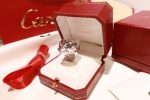 replica-panthere-de-cartier-ring-crb420003d3d9446802a44259755d38e6d163e820