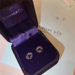 replica-tiffany-1837-circle-diamond-ear-stud-sterling-silver-couple-style-for-sale-gift-usa-19710424c9f0f895fb98ab9159f51fd0297e236d-595×595