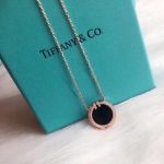 replica-tiffany-t-18k-rose-gold-elegant-diamonds-black-onyx-hoop-charm-ladies-necklace-sale-uk-64026992a5bfc9e07964f8dddeb95fc584cd965d-595×595