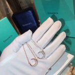 tiffany-crescent-pendant-paved-crystals-chain-necklace-silver-pink-gold-uk-sale-women-valentine-gift33e75ff09dd601bbe69f351039152189-595×595