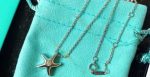 tiffany-elsa-peretti-womens-starfish-pendant-studded-one-crystal-chain-necklace-sale-online-dubai-26195306c4ca4238a0b923820dcc509a6f75849b