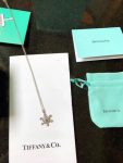 tiffany-snowflake-charm-chain-necklace-sterling-silver-price-2018-usa-women-gift-grp0301234173cb38f07f89ddbebc2ac9128303f-595×793