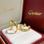 womens-jewellery-cartier-love-earrings-yellow-gold-rose-gold-white-gold-with-diamonds-n8515192-cheapb6d767d2f8ed5d21a44b0e5886680cb9-595×595 (1)